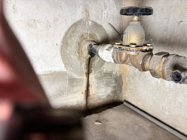 eb22bb44-fe3e-4d97-aee4-6d37b2cd89f8 2